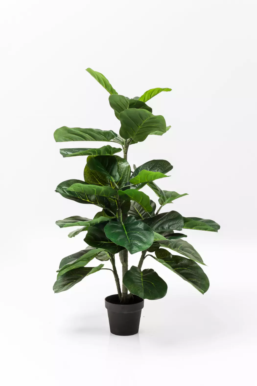 Kunstpflanze Fiddle Leaf 60723