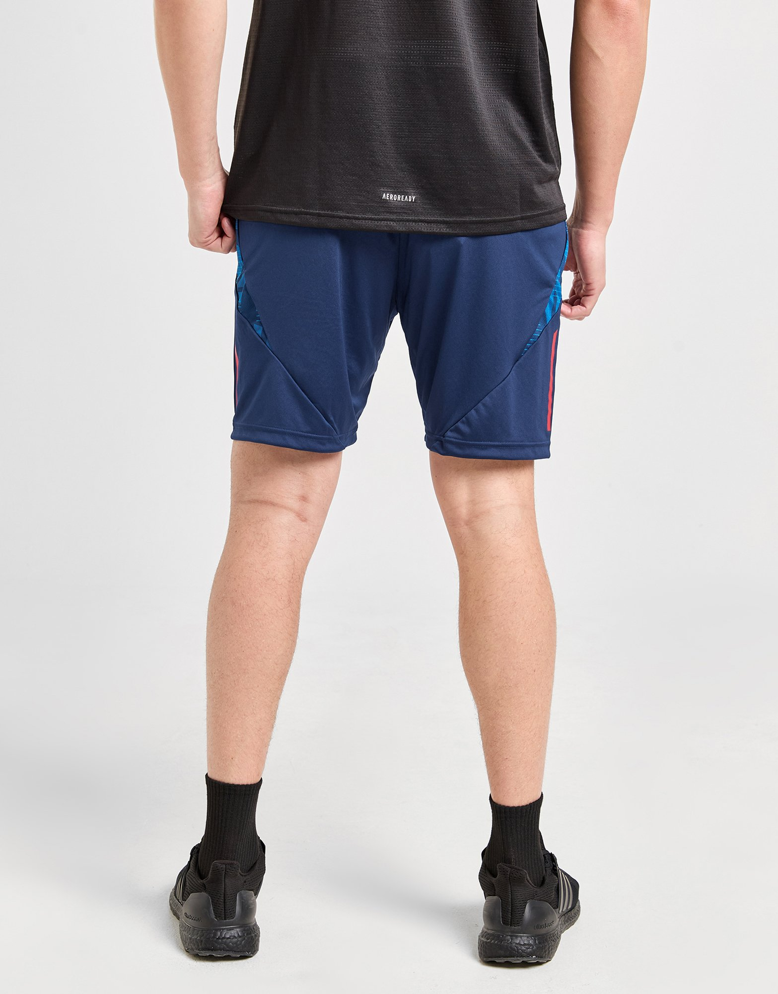 adidas Short d'entraînemeent Italie Tiro 24 Homme