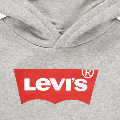 Levi's - BATWING SCREENPRINT HOODIE - Gris