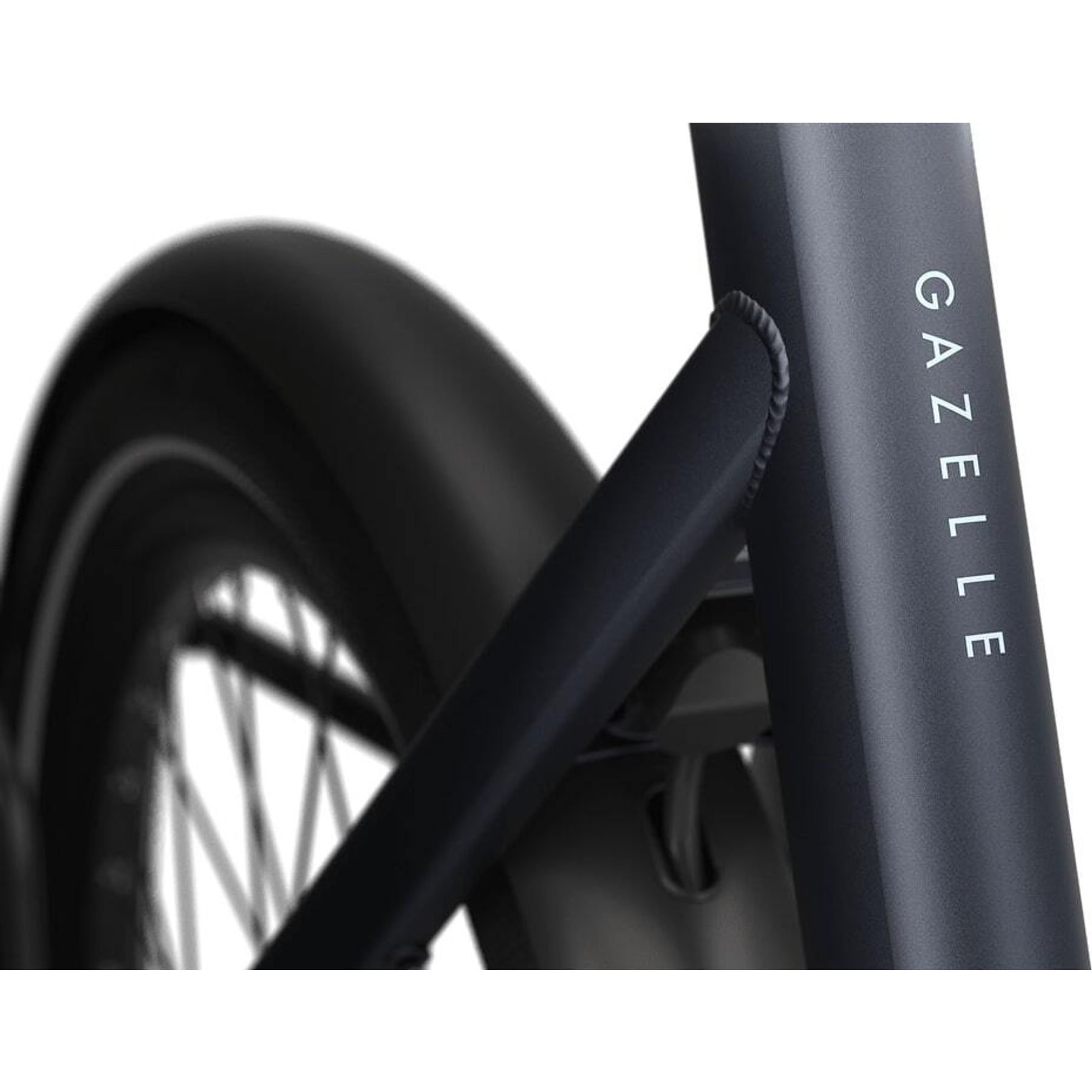 Gazelle Cayo C1 2026