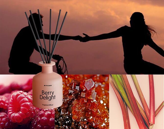 SIAN Berry Delight Diffuser 250ml - Berry Delight / Berry Delight