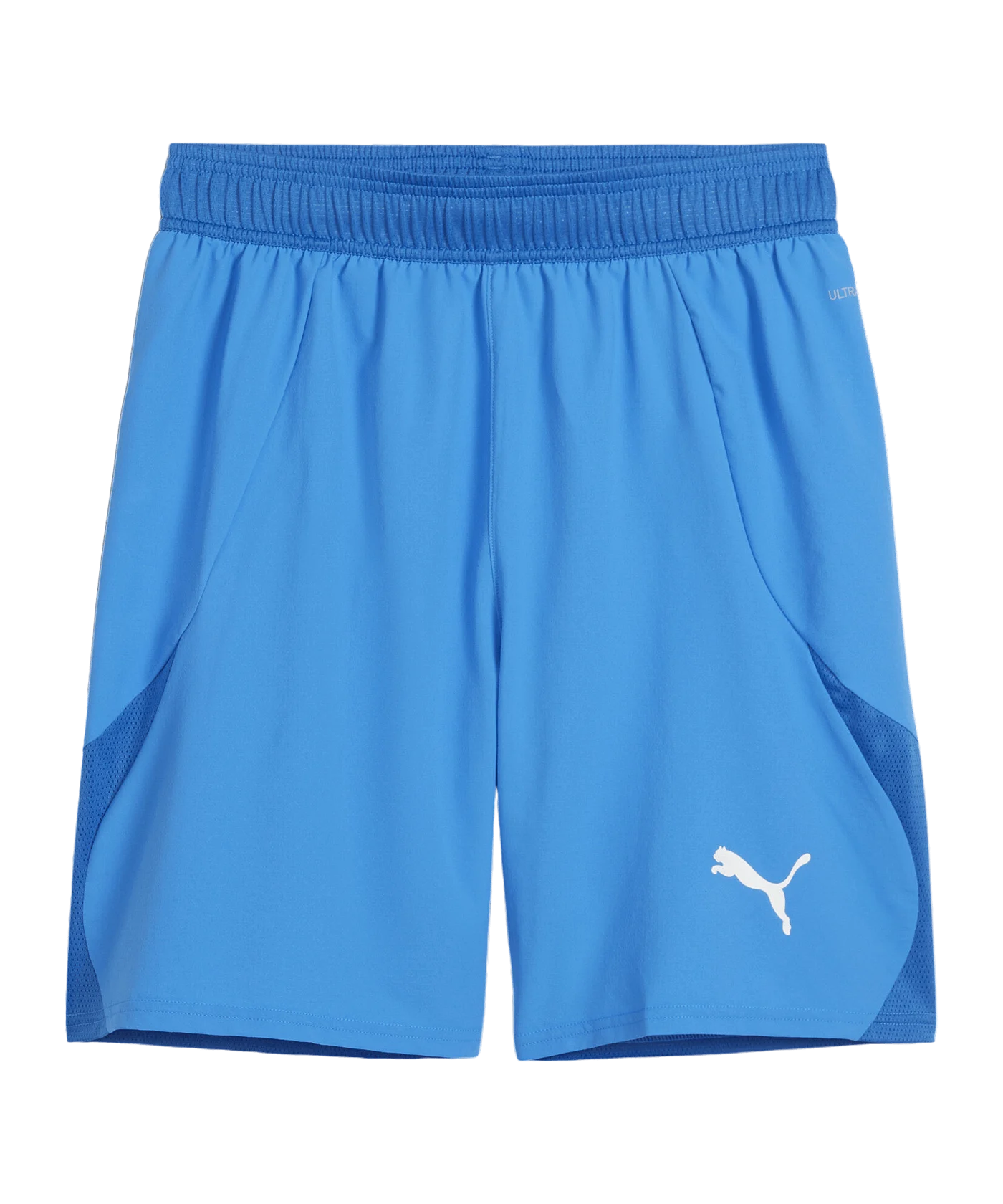 PUMA teamFINAL Short Blau Weiss Blau F02
