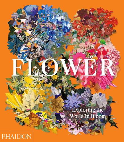 Flower: Exploring the World in Bloom (Hardback)