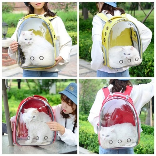 Mochila amarela para transportar animais de estimação