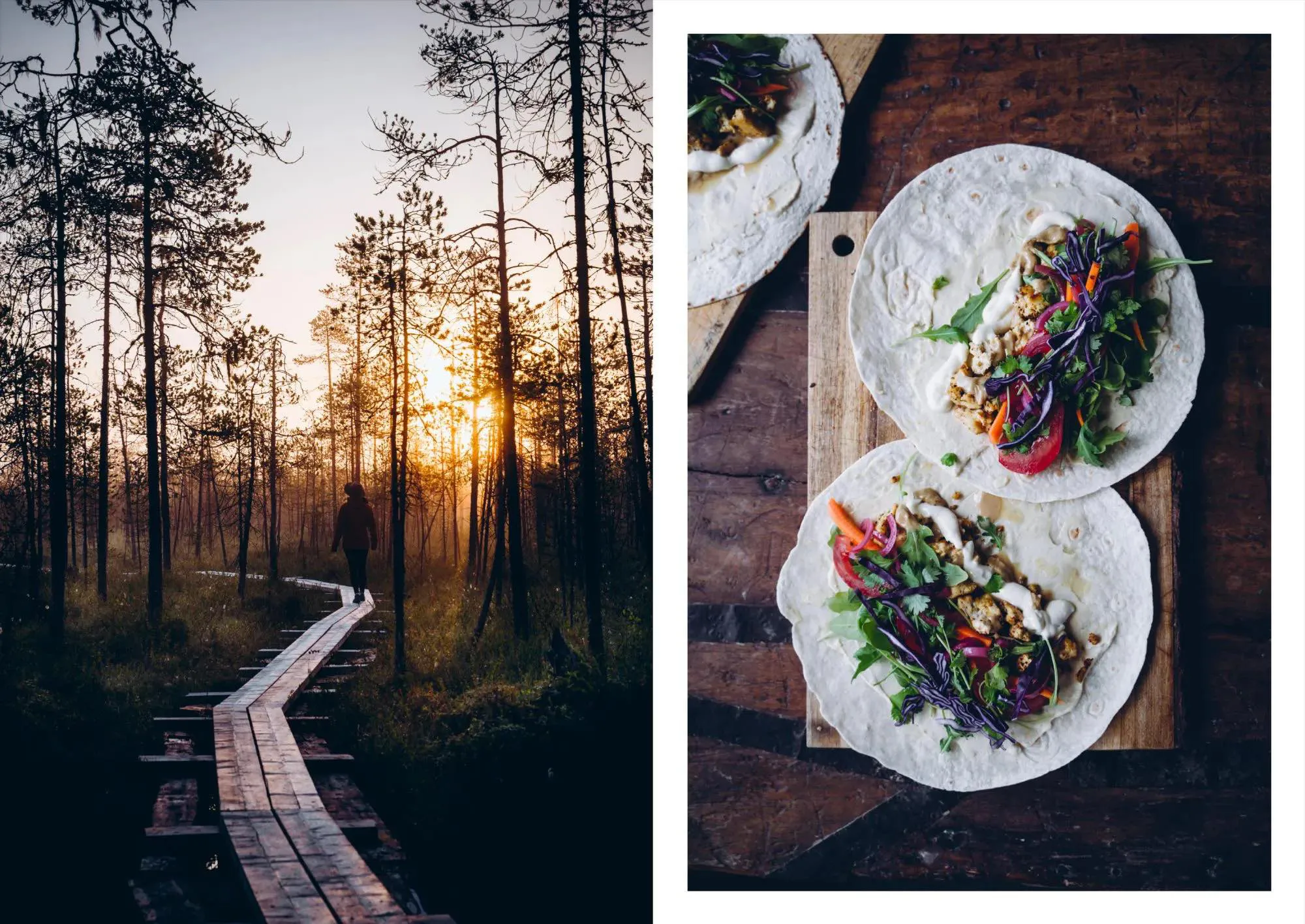 New Mags Food in The Woods