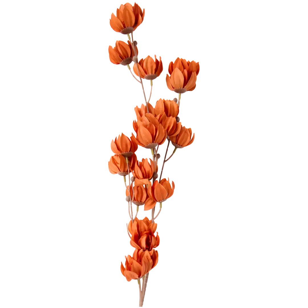 Branche de fleurs
