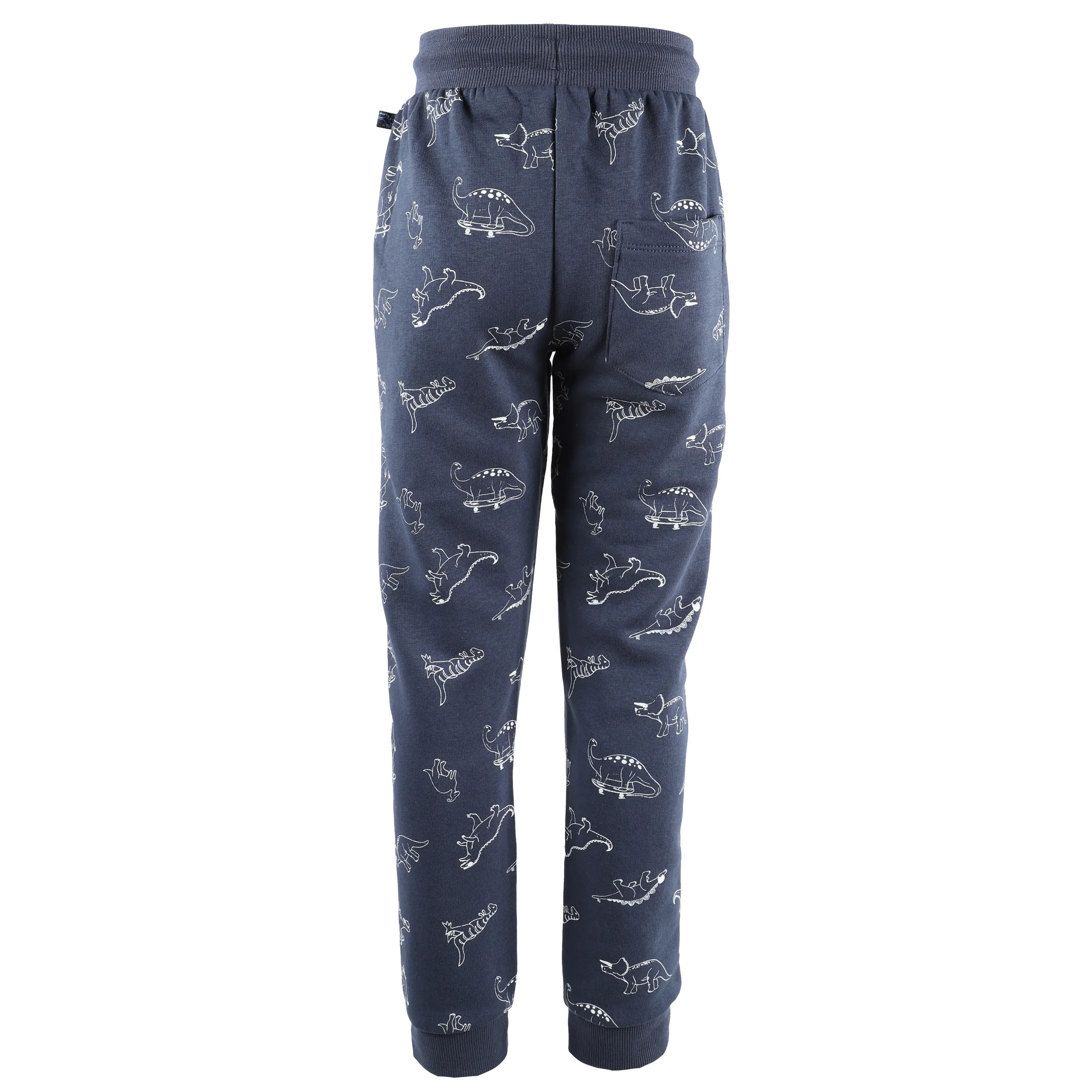 Jungen Jogginghose mit Dinoprint