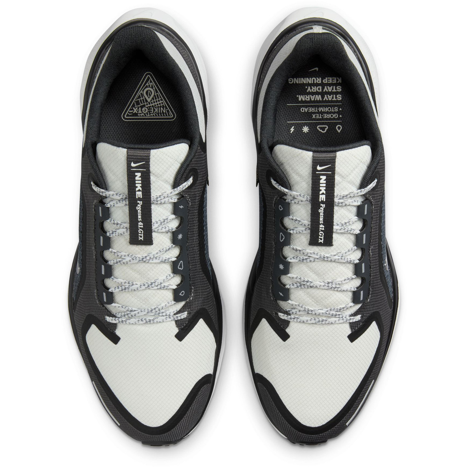 Nike Pegasus 41 GTX Heren
