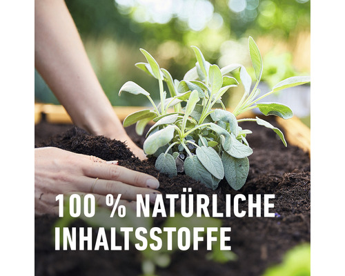 COMPO BIO Mini Verhoogde Bed- en Kasgrond 20 L 100% turfvrij
