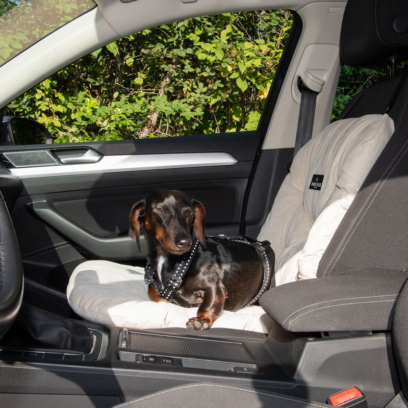 Siège de voiture Nomad Tales Blush, beige