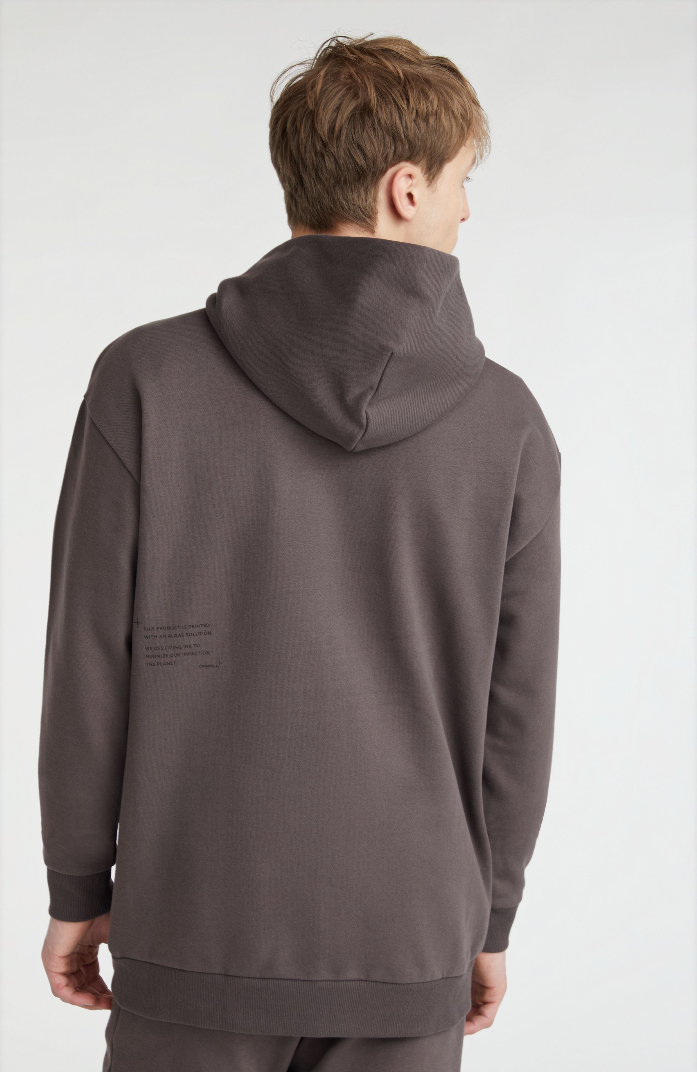 Hoodie Future Surf Society O`Neill Grijs