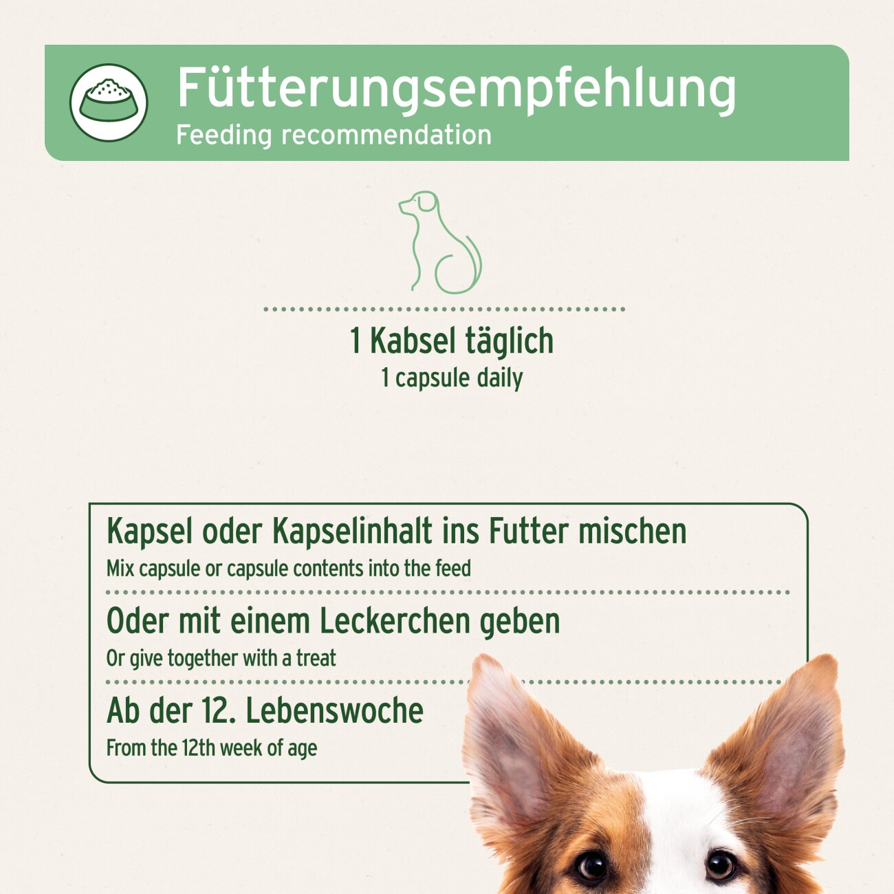 AniForte Zecken Schild (10 bis 35kg) für Hunde 60 Kapseln