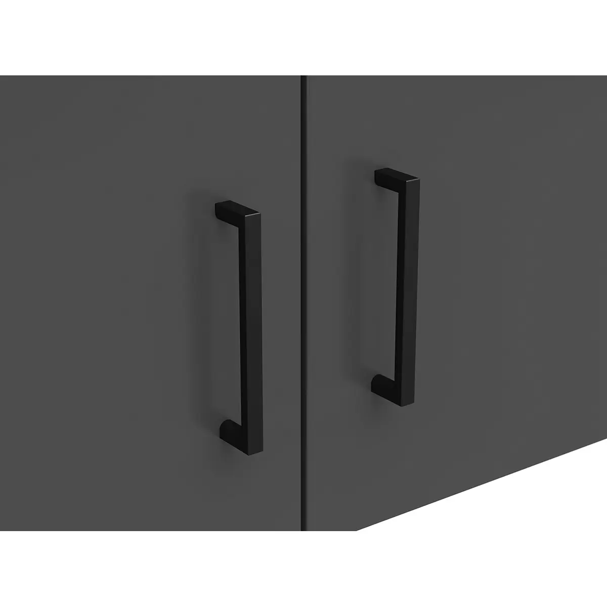 Regal 2T Cabinet Anthrazit