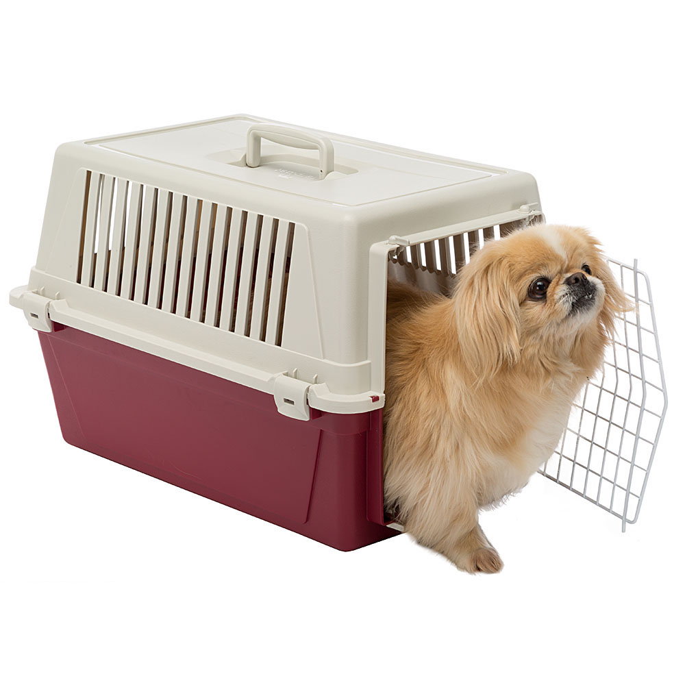 Ferplast transport rigide pour chats et chiens de petite taille atlas 30 el, box pour transport pour animaux, plastique robuste,