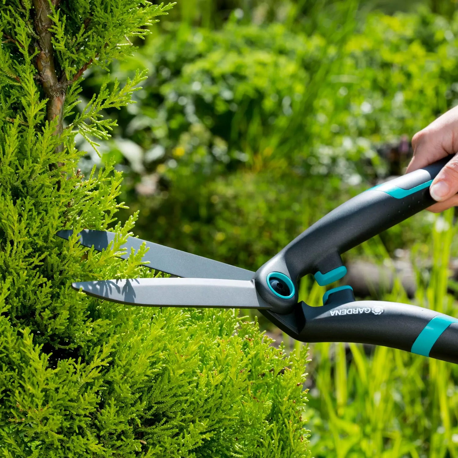 Gardena Precisioncut buxusschaar turquoise / grijs