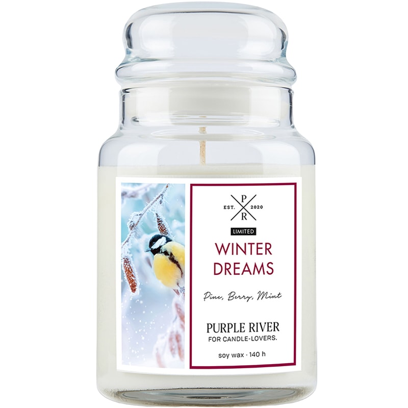 Bougie parfumée - Winter Dreams - Bergamote & pin - 623 g