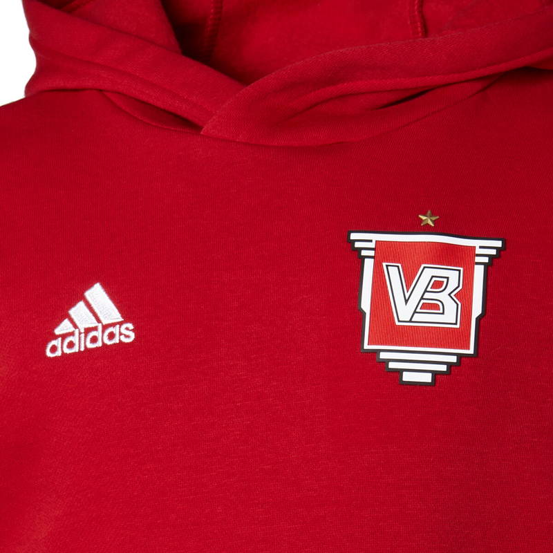 Vejle Boldklub Hættetrøje Børn