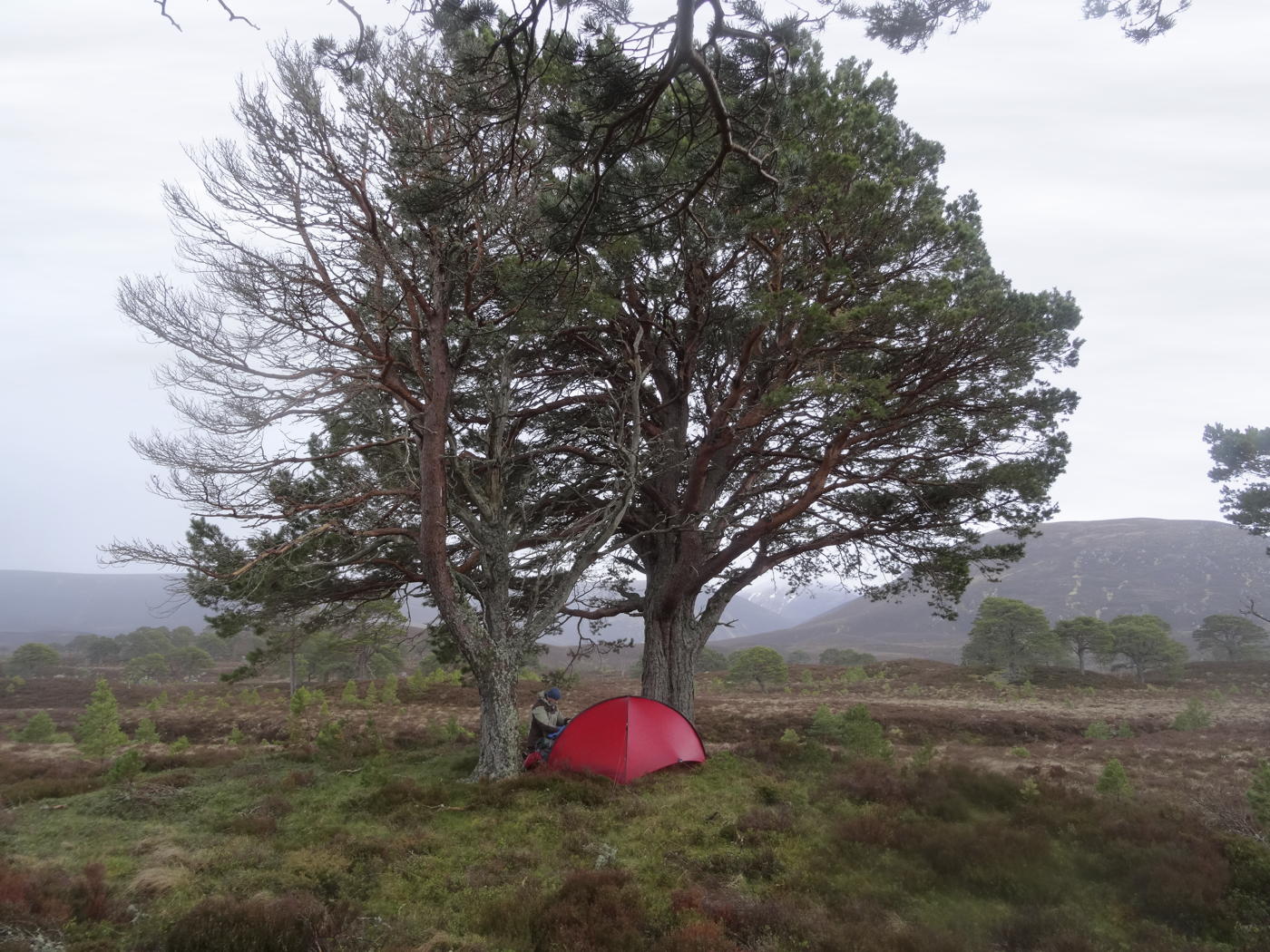 Hilleberg NIAK<br>2 personer