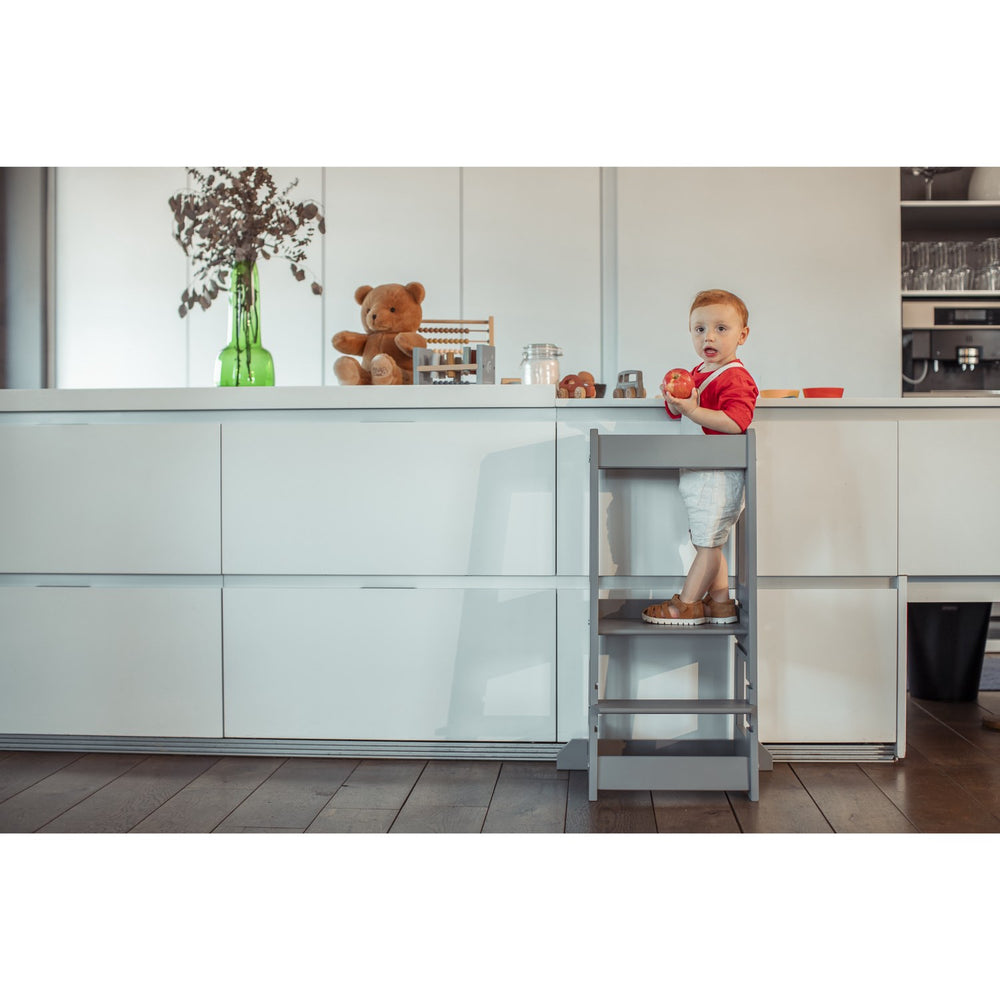 Køb tiSsi® Stormy Grey Laquer Felix Læringstårn Massiv Bøg