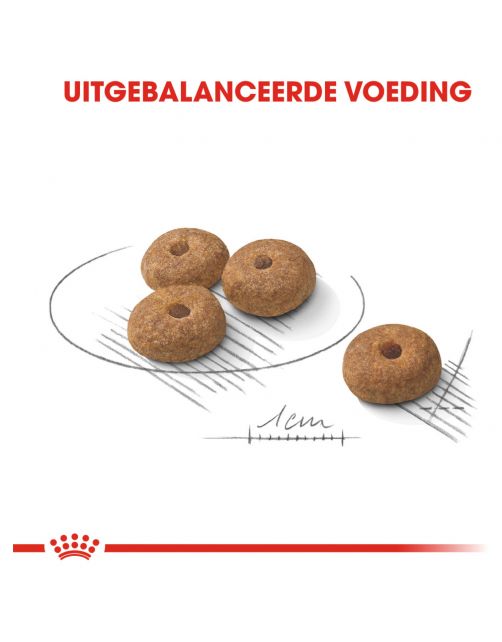 Royal Canin Sterilised Mini - Hondenvoer