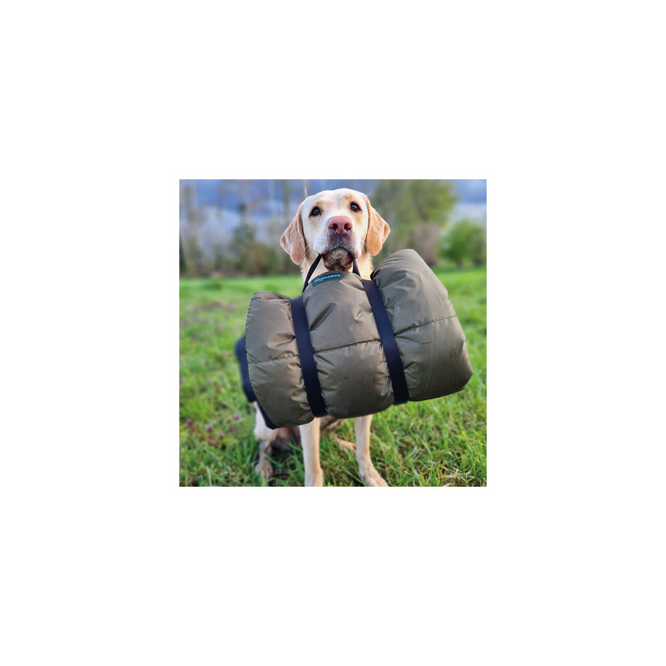 ROMNEYS Explorer Mat