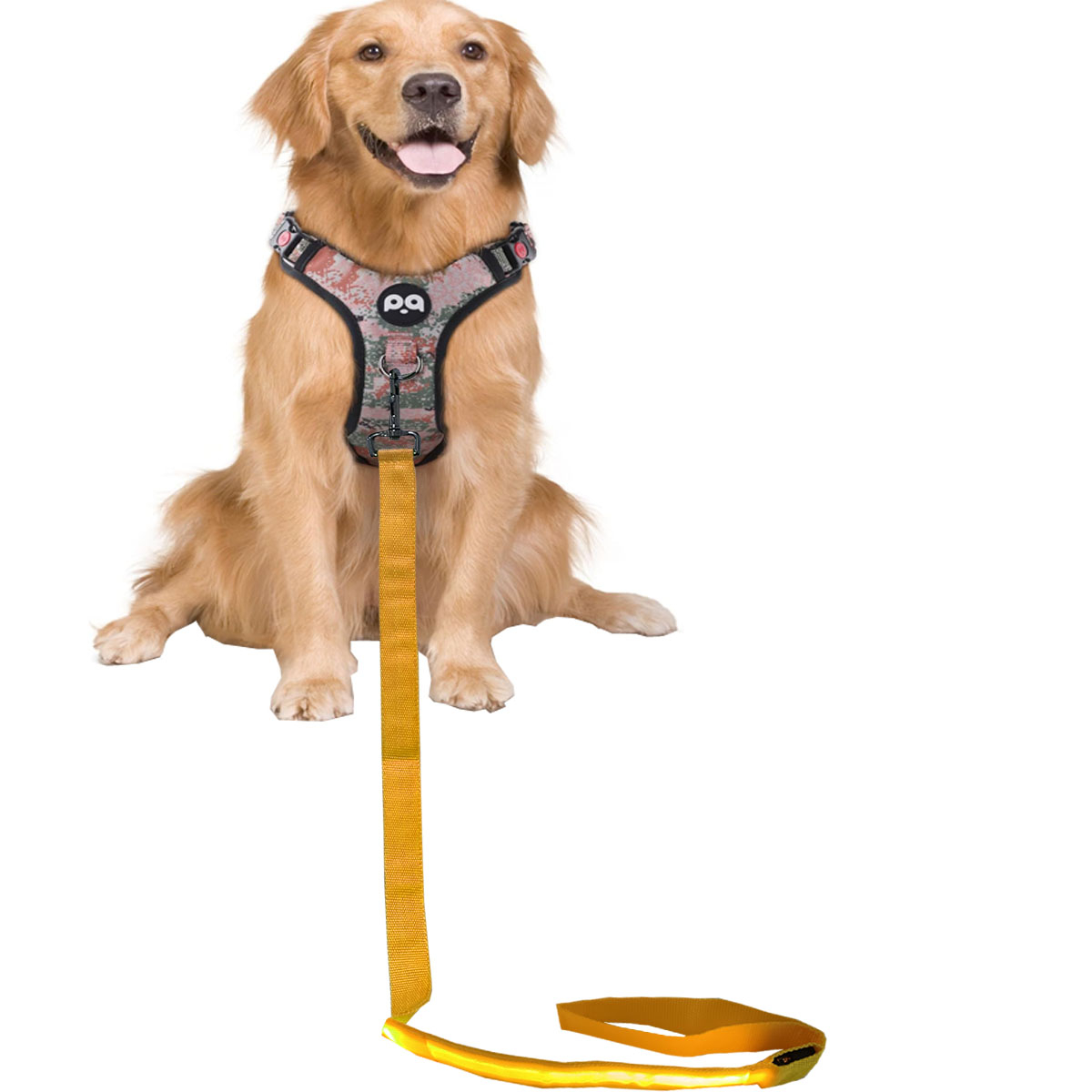 (110cm) LED Nylon Hunde Leine USB Hundeleine mit 3 Leucht Modi   Handschlaufe - Gelb