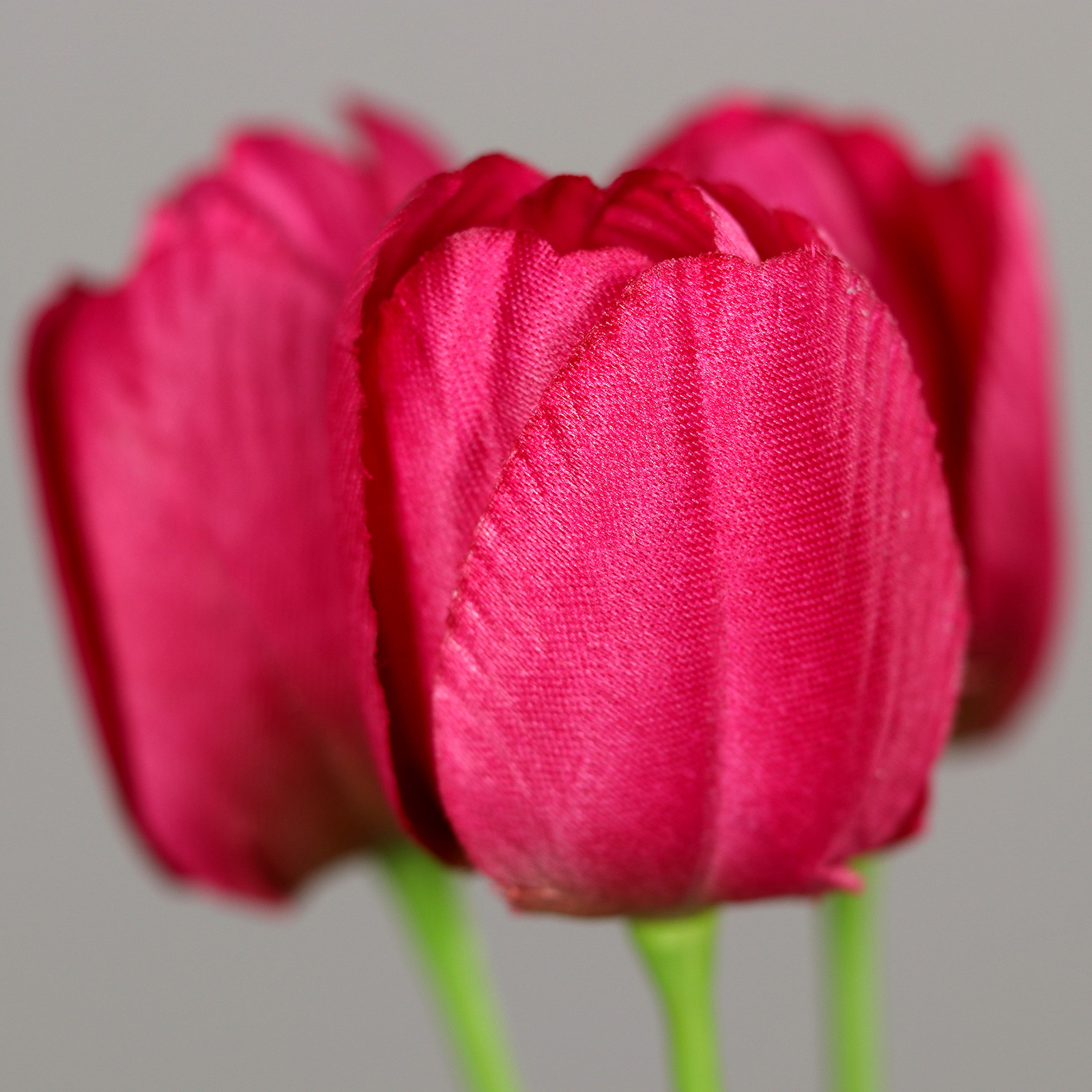 Tulpen-Bund - fuchsia - Kunststoff - 3 Stück