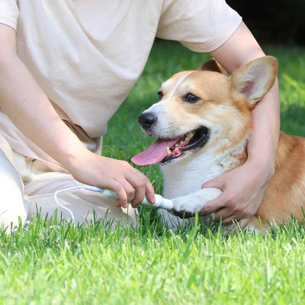 Pawbby Elektrische Krallen Feile Haustier Nagel Trimmer für Hunde / Katzen - Weiss
