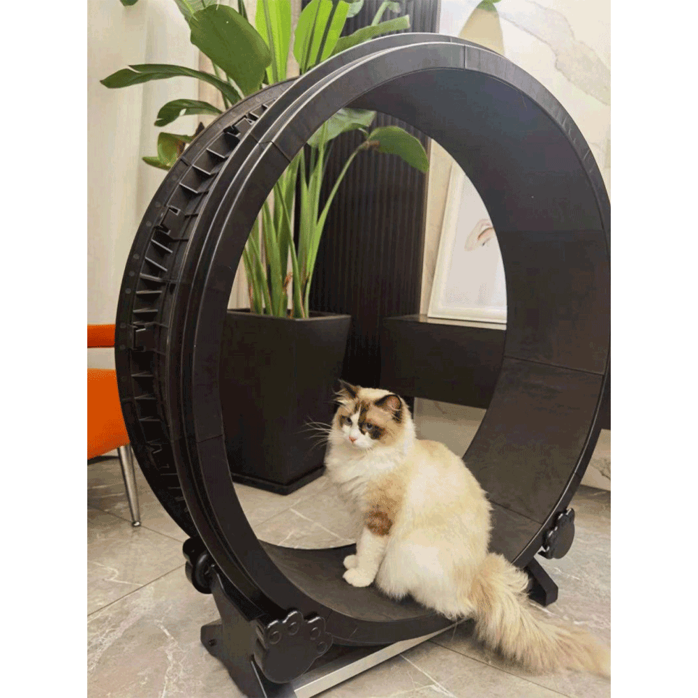 Petlux Looprad voor Katten