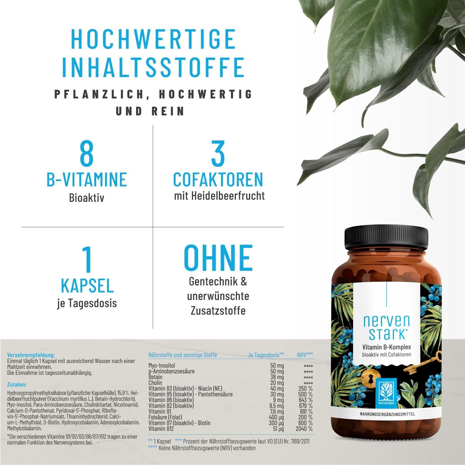 Vitamin B-Komplex (B1-B12) mit 3 Kofaktoren aktiv hochdosiert - Nervenstark -NATURTREU®