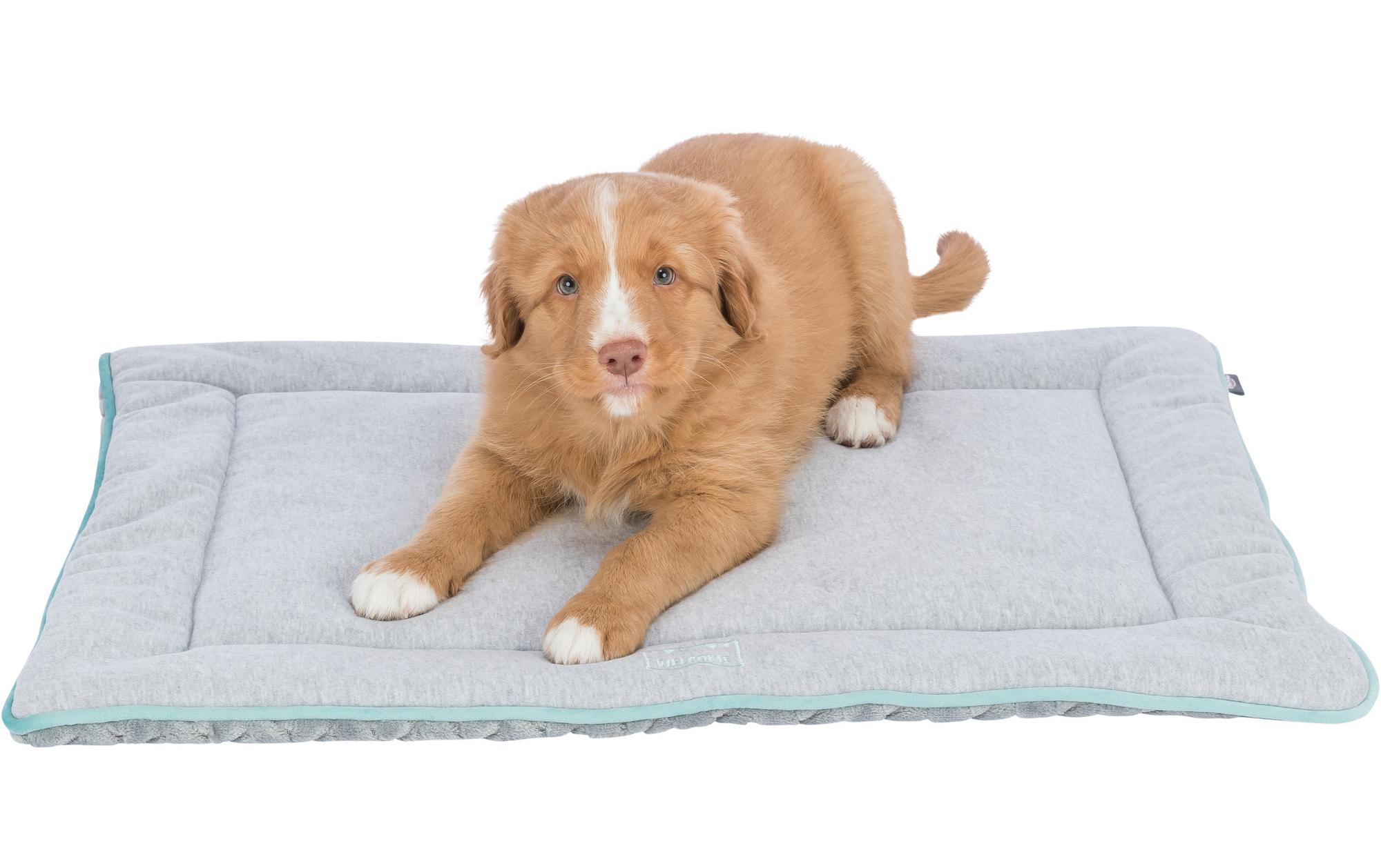Hunde-Liegematte Junior, 70 x 50 cm, Hellgrau/MintWeicher Liegeplatz für Hunde