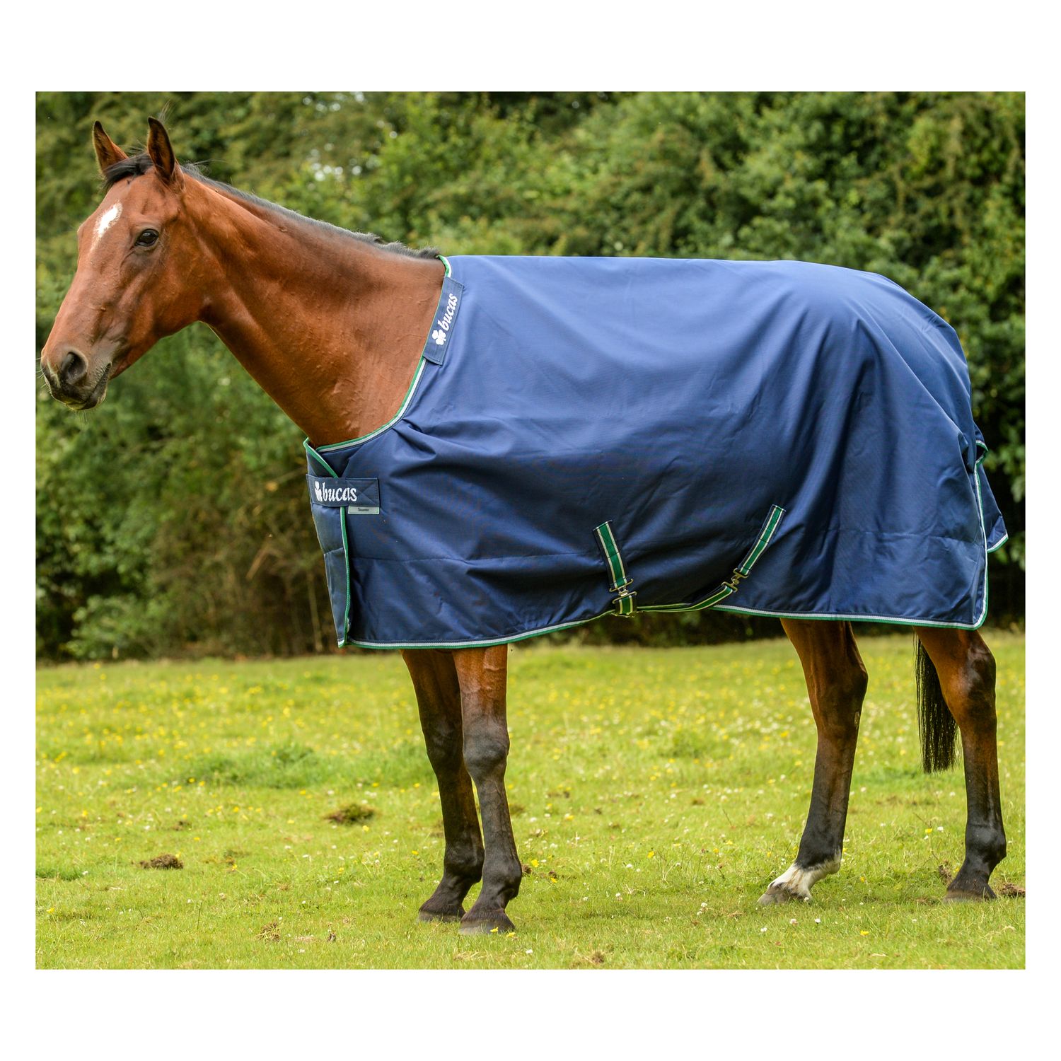 bucas Outdoordecke Smartex Medium Turnout - blue