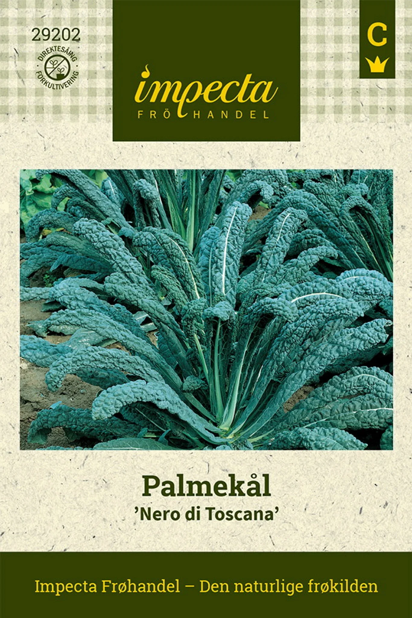 Brassica oleracea 'Nero di Toscana' Palmekål 'Nero di Toscana'
