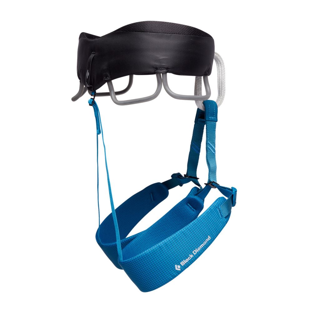 Black Diamond MOMENTUM - Baudrier Homme kingfisher