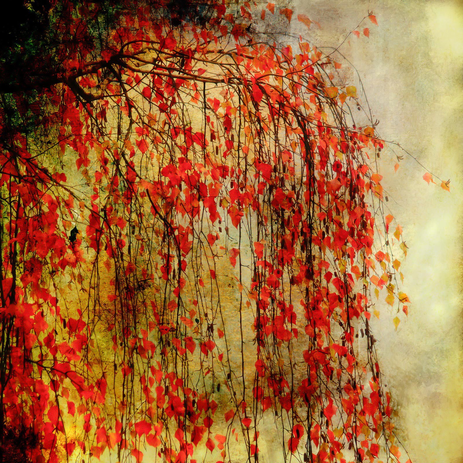 Tree on Fire by Christiane Steinicke - Open Edition.