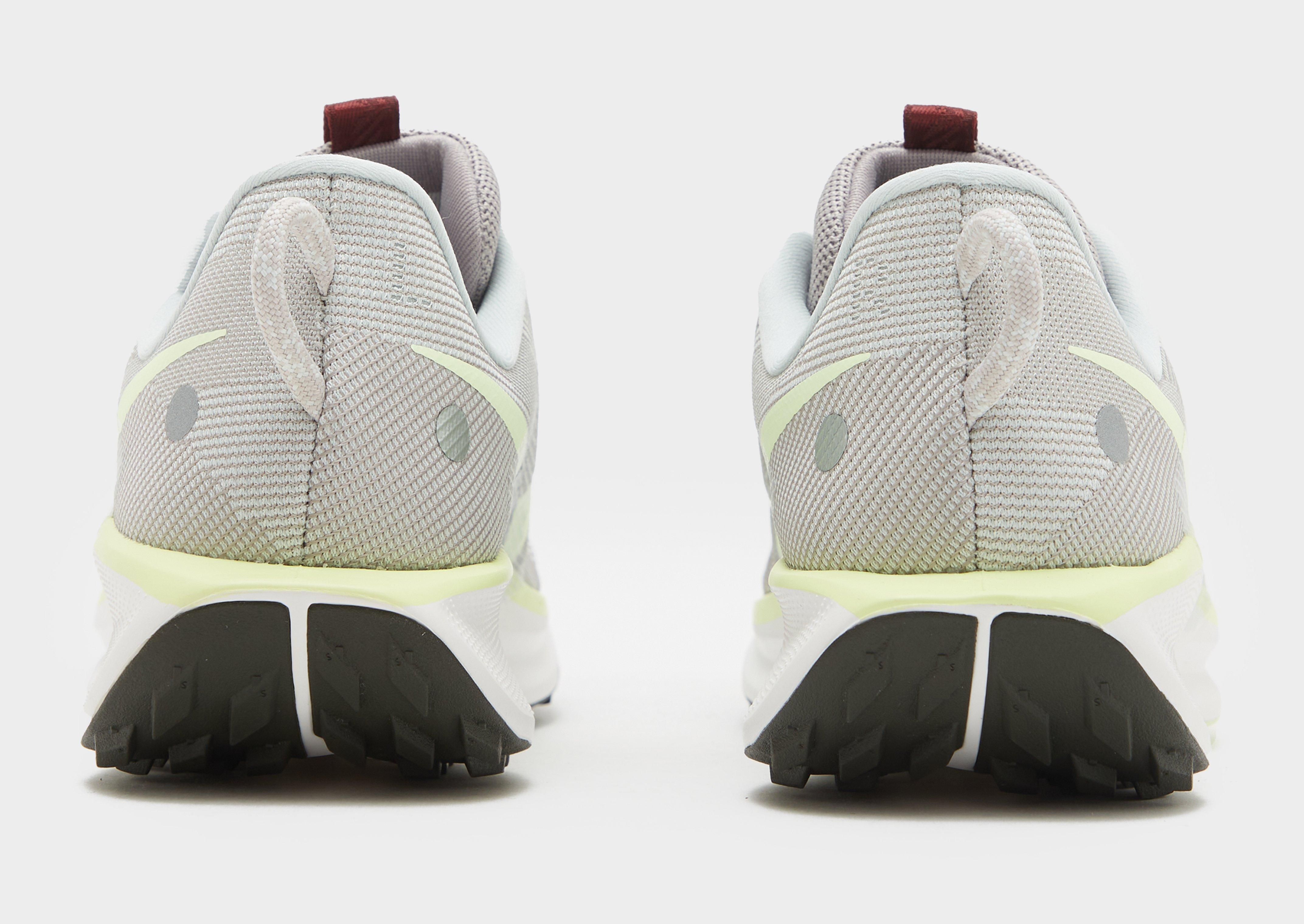 Nike Pegasus Trail 5 Homme