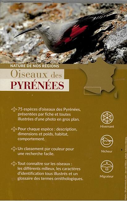ARTEMIS - OISEAUX DES PYRENEES