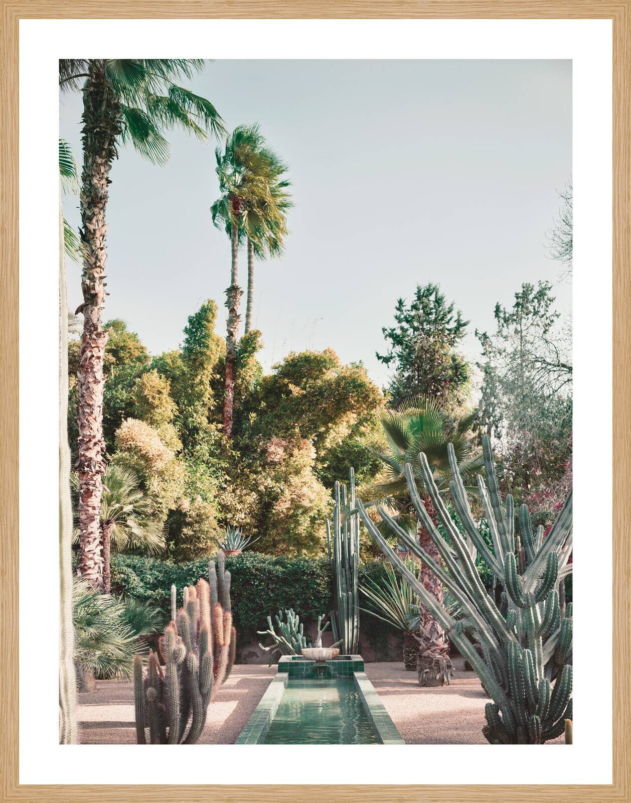Jardin Majorelle by Simon Watson - Limited Edition. Edition of: 150. Signed.