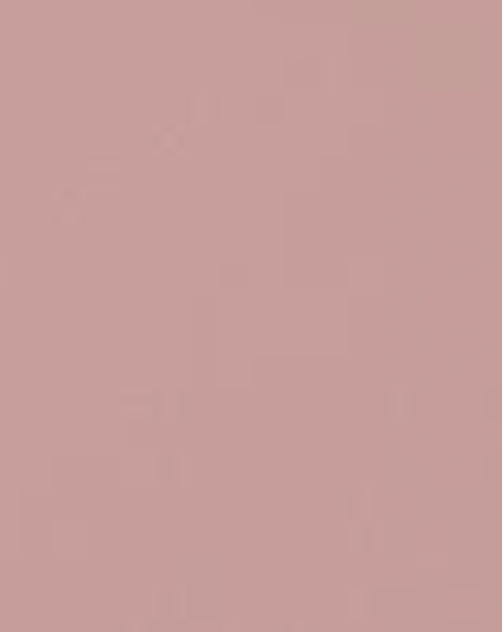 Holz-Puppenwagen CLASSIC in blossom pink