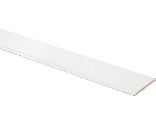Decoratief paneel, effen wit, 10x150x2600 mm