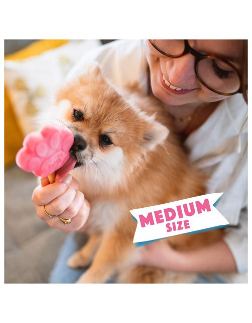 Smoofl Honden Ijsvorm - Hondensnacks - Roze M