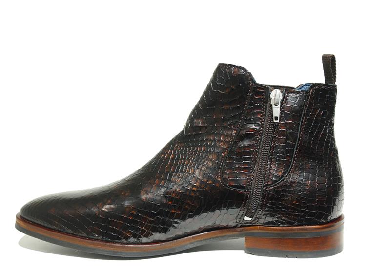 Berkelmans Durban Brown Lizard