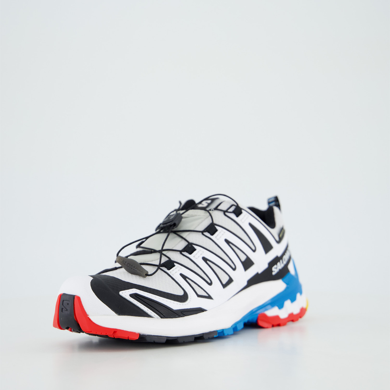 Salomon Schuhe XA PRO 3D V9 GTX W