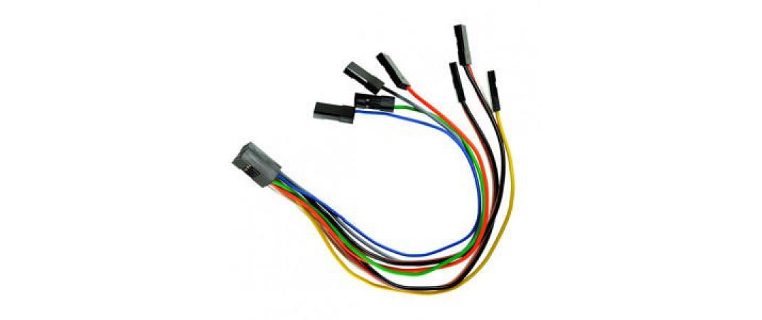 Kabelbaum 250 mm für AXON, CORTEXproKabel zu AXON / CORTEXpro