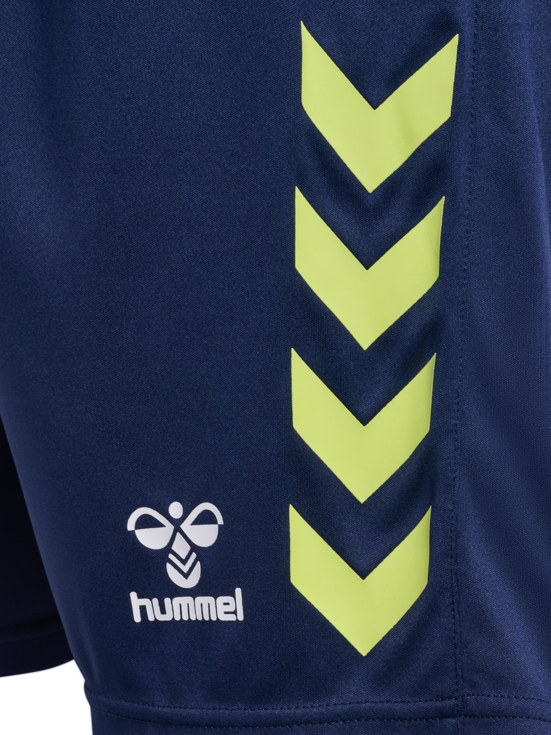 hmlGRAPHIC UNIVERSE SHORTS