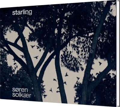 Starling - Søren Solkær - English Book