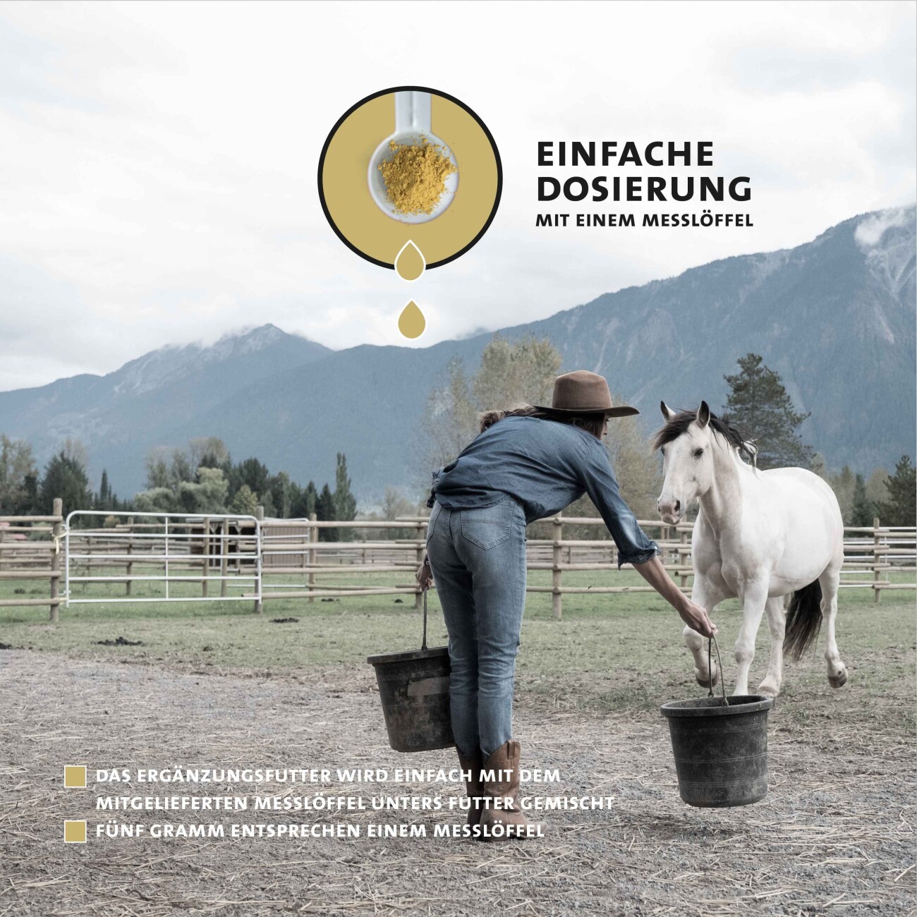 Peticare Ergänzungsfutter Hufe, Fell & Haut Pulver für Pferde 200g