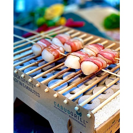 CasusGrill engangsgrill