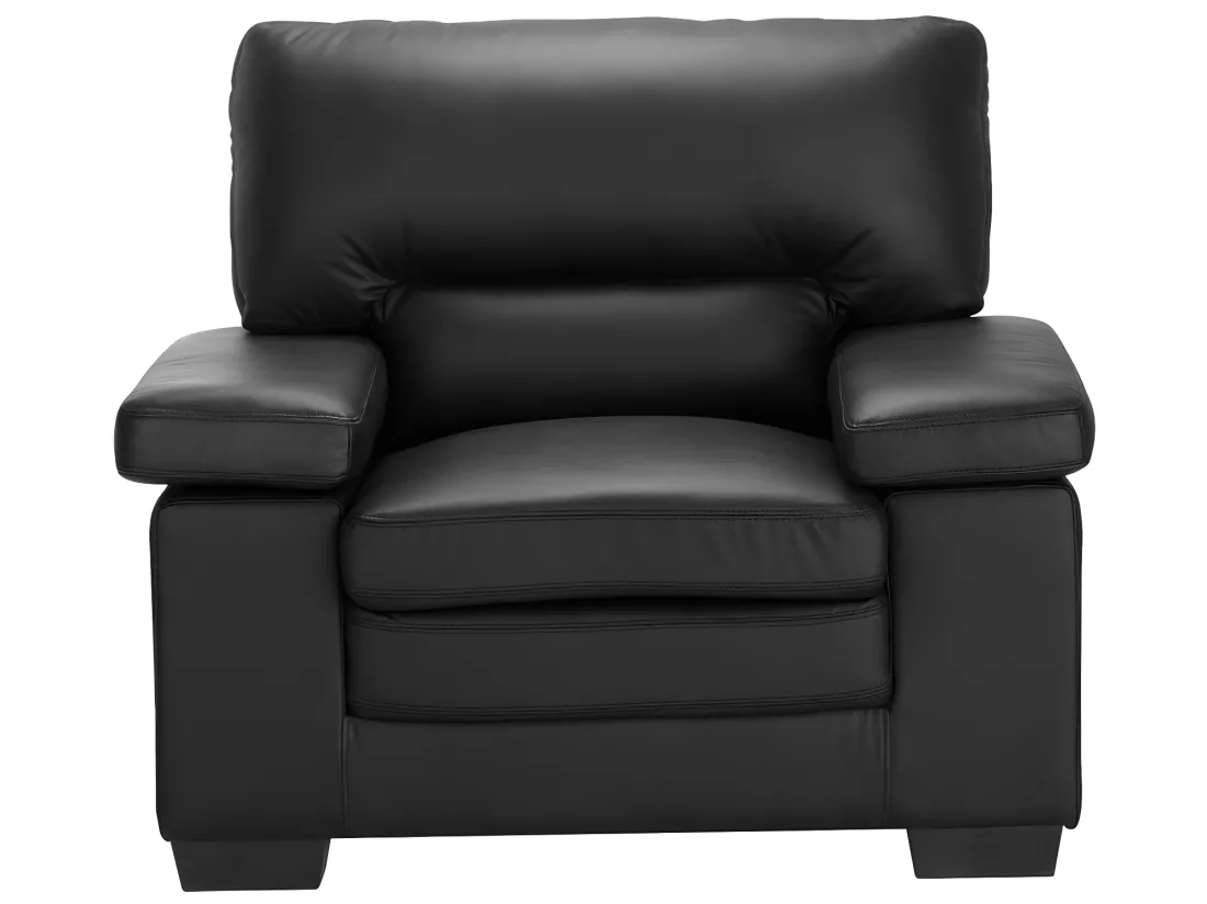 Canapé 3 places et un fauteuil en cuir de buffle MIMAS - Noir