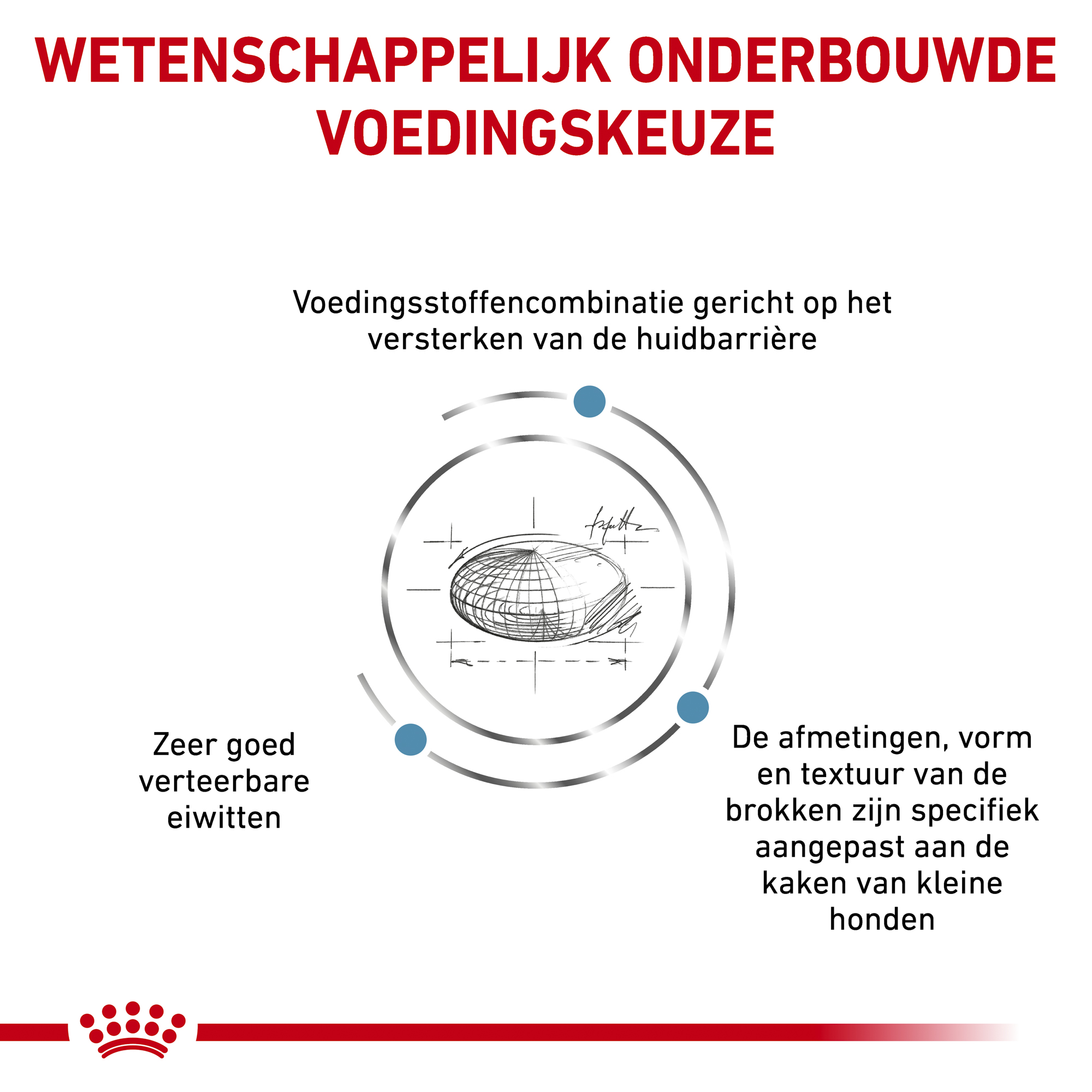 Royal Canin Skin Care Kleine Hond
